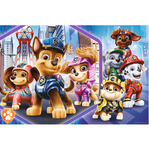 paw patrol